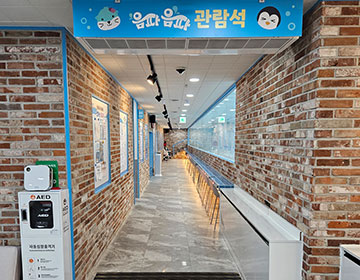 음파음파 어린이 수영장 관람석 사진1