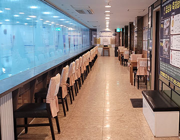 블루라군 멤버쉽풀 사진1